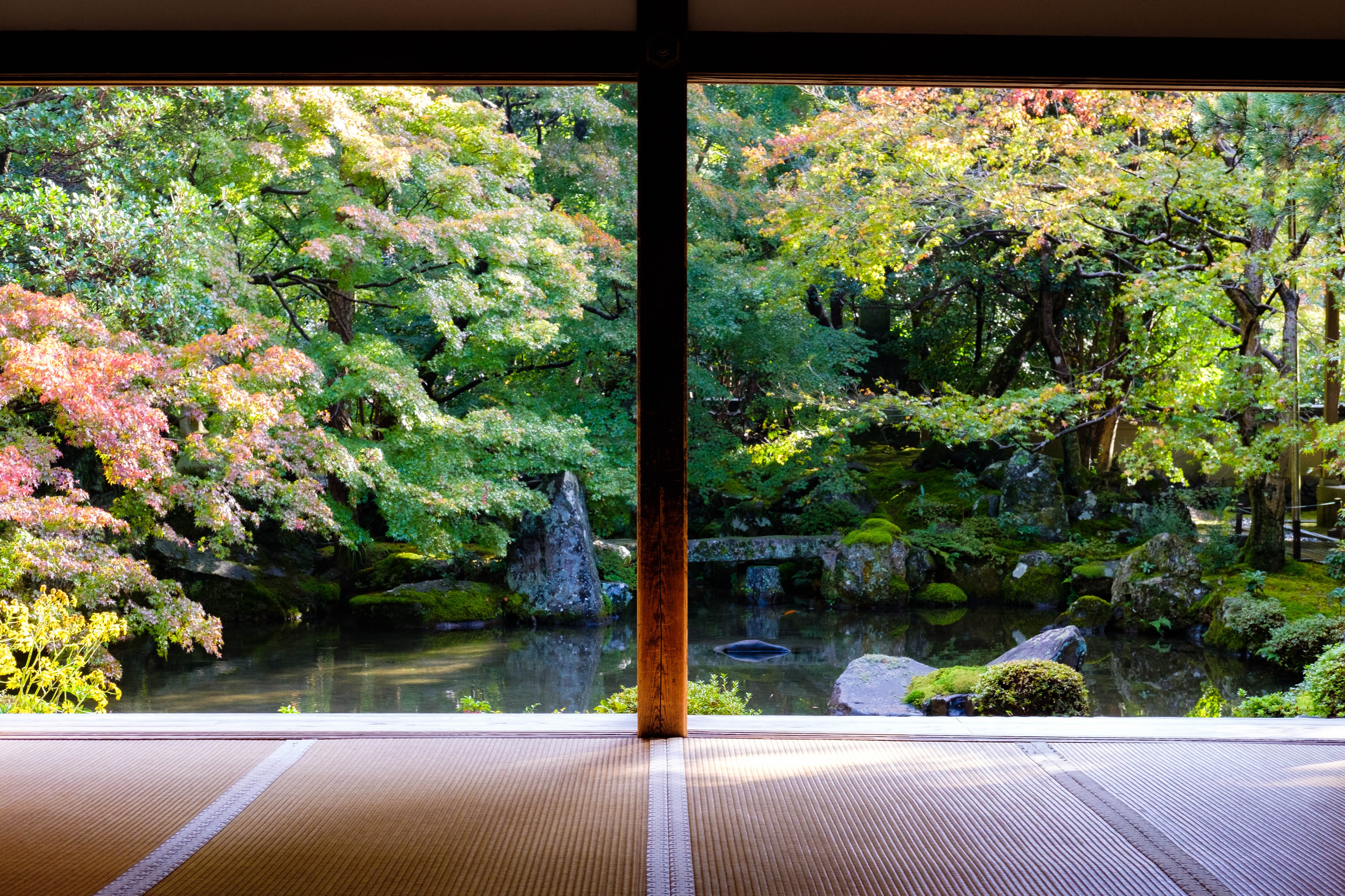 kyoto 蓮華寺 庭園
